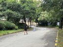 星涯优品遥控机器狗积木高难度成人电动玩具男孩8-12岁六一儿童节生日礼物 实拍图