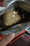 伯纳天纯生·鲜系列Ultra成猫幼猫冻干猫粮深海御鲜2.5kg 实拍图
