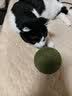 HELLOJOY猫咪10CM超大猫薄荷球玩具猫草自嗨解闷神器磨牙棒洁齿逗猫木天蓼 实拍图