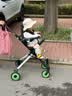 AMORHOME遛娃神器婴儿推车儿童手推车轻便可折叠高景观宝宝小推车溜娃神车 墨非绿 伞【全包款】 实拍图