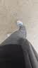 诺诗兰男士快干长裤户外吸湿排汗速干透气舒适百搭休闲裤子男 实拍图
