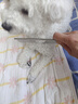 HELLOJOY宠物猫咪狗狗排梳猫梳子宠物去浮毛开结钢梳布偶长毛猫专用猫毛梳 实拍图
