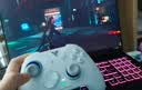 飞智冰原狼4多模版无线游戏手柄 类xbox 力调节摇杆双切扳机 switch电脑PC手机steam体感NS 仁王3 实拍图