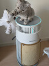 霍尼韦尔（Honeywell）宠物空气净化器价保618吸猫毛除过敏源猫猫搭子 猫毛净化器杀菌消毒除异味KJ360F-C22W 实拍图