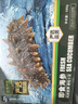 宫壹大连即食海参1斤 4-6只盒装 参王 京东自营 底播辽刺参免泡发 实拍图