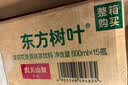 农夫山泉东方树叶茉莉花茶500ml*15瓶无糖茶饮料0糖0脂0卡整箱装 实拍图