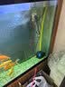 海甲卫 HAKAWIN鱼缸水泵超静音潜水泵底吸过滤抽水泵鱼池循环泵变频水泵8600-12W 实拍图