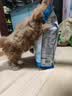 皇家狗粮 幼犬狗粮 宠物 小型犬 MIJ31 全价犬粮 2-10月 2KG 实拍图