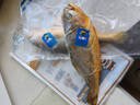 三都港 冷冻黄花鱼净重600g/2条装 宁德大黄鱼 海鱼 生鲜鱼类 海鲜水产 实拍图