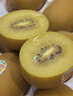 佳沛（zespri）新西兰金果巨大果22粒原箱单果146-175g 端午礼物水果礼盒 猕猴桃 实拍图