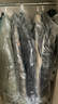 京东洗衣服务衣鞋任洗6件上门取送 干洗服务水洗去渍熨烫杀菌 实拍图