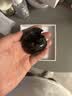 Viken【哈曼音效主动降噪】睡眠耳机蓝牙降噪舒适无痛侧睡不压耳耳塞asmr助眠小巧进口高端耳塞防噪音 实拍图