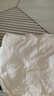 雅鹿4条女士内裤女纯棉100%全棉抑菌裆纯白色中腰女式无痕内裤三角裤 纯棉7A级抑菌- 4条 L 适合100-125斤 实拍图