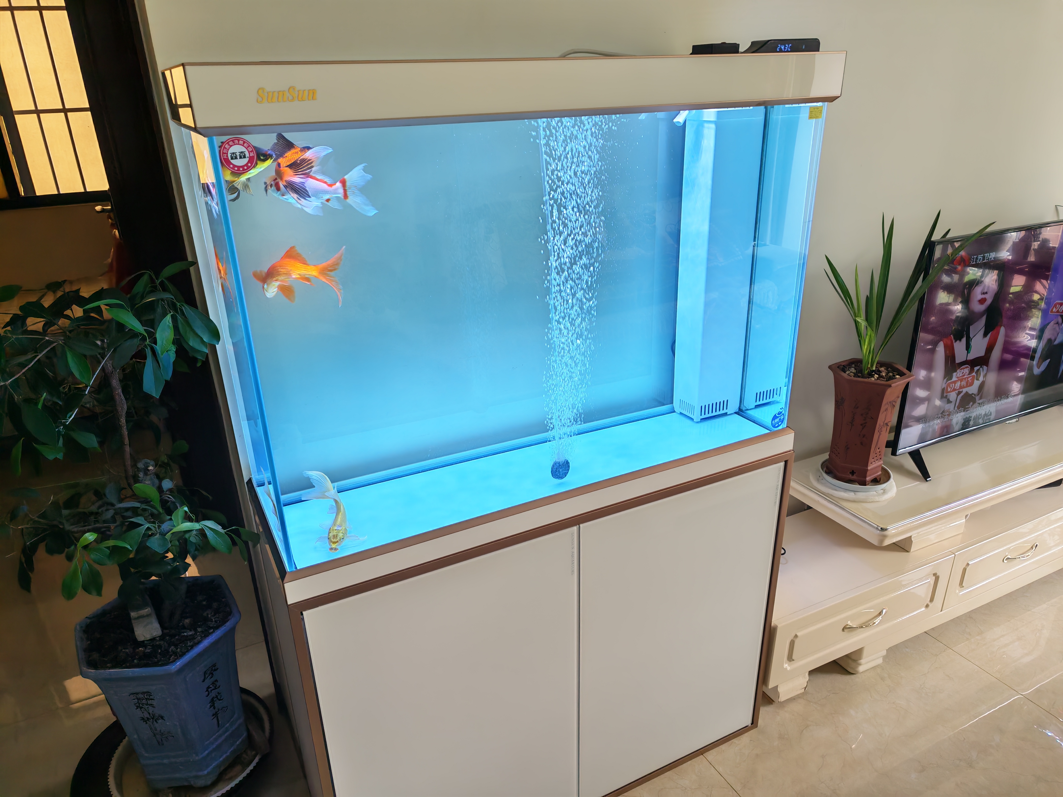 森森（SUNSUN）大型鱼缸底过滤水族箱客厅家用落地玻璃生态金鱼缸 【实时温显+灯控】珍珠白 1米长35cm宽 实拍图