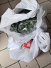 带根香菜100g 实拍图