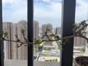 ALittleFlower【全网热销600W+】适用iPhone16e/14/13/13pro钢化膜苹果16e/14/13/13 pro手机膜保护膜防摔抗指纹 实拍图