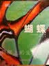 DK科普百科 蝴蝶 精装全彩高清版 中小学生推荐课外阅读课外读物科普启蒙自然启蒙 儿童昆虫百科全书 开学季 实拍图