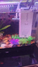 森森 小鲤鱼缸过滤器净水循环三合一内置水族箱过滤系统XQP-500F 6W 实拍图
