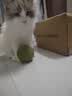 HELLOJOY猫咪10CM超大猫薄荷球玩具猫草自嗨解闷神器磨牙棒洁齿逗猫木天蓼 实拍图