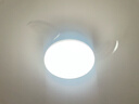 雷士（NVC）LED照明枕边风风扇灯吊扇灯北欧卧室全光谱1级能效智控36瓦餐厅灯 实拍图