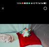 英氏（YEEHOO）宝宝安抚玩偶婴儿哄睡神器安抚巾新生儿见面礼阿贝贝玩具洛米企鹅 实拍图