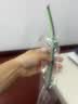 一途（YITU）后雨刮器适用上汽大众途观【专车专用】原车款后雨刮片A级胶条 实拍图