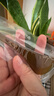 采药师牛角拨筋棒眼面部专用美容刮痧板脸眼周通用点穴按摩棒女提拉美容 实拍图
