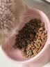 耐威克全价鲜肉猫粮 专系列美毛猫专用粮2.5kg 成猫幼猫靓丽毛发天然粮 实拍图