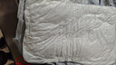 雅鹿乳胶枕头颈椎枕成人睡觉专用抗菌单人学生宿舍整头护颈枕芯一对装 商务舱枕 【高回弹 不塌陷】 48*74cm【单只装】 实拍图