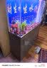 森森（SUNSUN）大型鱼缸底过滤水族箱客厅家用落地玻璃生态金鱼缸 【实时温显+灯控】纳米灰 1米长35cm宽 实拍图