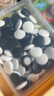 DEERC儿童玩具多功能棋盘3-6岁多合一磁吸五子围棋7-14岁男孩生日礼物 超大号十二合一【38*38cm】强磁吸+收纳盒+礼盒礼袋 2026火的儿童玩具围象棋国际飞行军棋斗兽桌游6-10 晒单实拍图