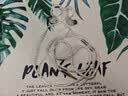水月雨 K线耳机升级线 Line ‘K’KATO官升线0.78双插针 4.4mm平衡 实拍图