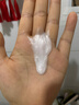 仁和匠心苦参氨基酸洗面奶500g 保湿控油舒缓除螨祛痘去黑头男女士洁面乳 实拍图