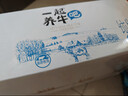 认养一起养牛吧纯牛奶学生儿童奶全脂牛奶 200mL*10盒*1箱 实拍图