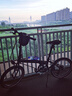 大行（DAHON）P8折叠自行车经典成人20英寸8速折叠车男女式运动单车KBC083 消光黑【经典版】 实拍图