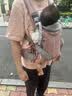 BabyBjorn瑞典品牌进口透气婴幼儿背带抱娃神器Harmony背带0-3岁 达斯丁粉 实拍图