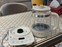 美的（Midea）【价保618】0胶水全玻璃养生壶母婴烧水壶电热水壶全自动一体煮茶器800W大功率1.5LMK-YS15B215 实拍图