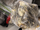 活冻黑虎虾大号 1kg 大虾烧烤火锅食材 约30-40只 1kg(净重)  盒装 实拍图