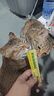 耐威克营养功能型主食猫条 成猫幼猫零食猫湿粮罐头 混合口味15g*9支 实拍图