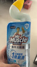 威猛先生（Mr Muscle）免刷洗 强效洁厕灵 洁厕剂 馥郁繁花型 马桶清洁 600gX2瓶 实拍图