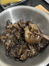 永富有机黑木耳200g大兴安岭东北特产泡发率1:14火锅食材无根肉厚 实拍图