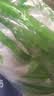 巨奇（JUQI）除湿袋10袋100g防潮干燥剂除湿防霉衣柜除湿剂宿舍室内回南天神器 实拍图