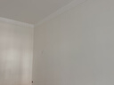多乐士（Dulux）京绽竹炭抗甲醛五合一净味室内乳胶漆墙面抗菌油漆涂料白色A8146P 套装 可调色（不可退换） 54L*1件 实拍图
