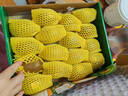 佳沛（zespri）新西兰阳光金奇异果16粒礼盒经典果单果 88-103g  猕猴桃水果礼盒 实拍图