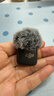 大疆 DJI Mic Mini 发射器（碳素黑）迷你无线降噪纽扣式领夹麦克风采访直播vlog收音麦 实拍图
