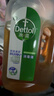 滴露（Dettol）消毒液洗衣衣物消毒水750mL 除螨杀菌混洗无忧 家居地板消毒 非84 实拍图