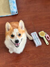 先锋（SINGFUN）宠物剃毛器猫咪专用剃脚毛器静音狗狗脚毛修剪器宠物店局部推子小猫猫爪一体机电推剪【价保618】 实拍图