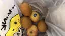 佳沛（zespri）新西兰 阳光金果25-27粒原箱特大果单果124-146g 猕猴桃水果礼盒 实拍图