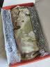 神火（SupFire）多功能工兵铲铁锹锰钢兵工铲折叠藏獒铲野外铲子户外用品BG05-4节 实拍图