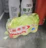 养乐多活菌型乳酸菌乳饮品低温活性乳酸菌饮料【顺丰冷链】 【青提新口味】100ml*25瓶 实拍图